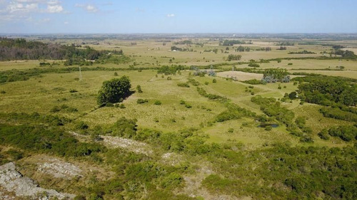 Imagen 6 de 9 de Chacra En La Pataia, Punta Ballena
