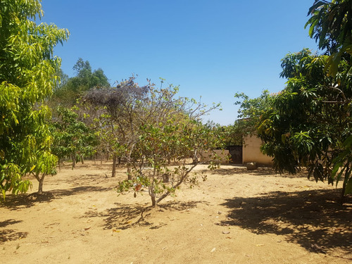 Vendo Sítio Em Cachoeira Do Choro