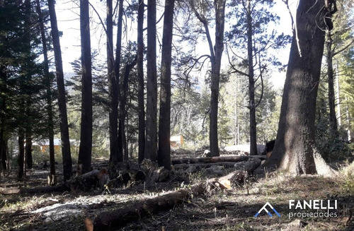 Lotes En Villa Traful (cód. 216)