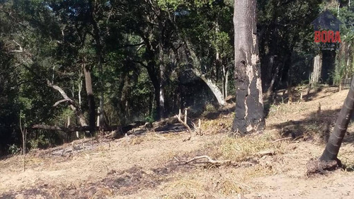 Imagem 8 de 15 de Terreno À Venda, 1605 M² Por R$ 120.000,00 - Recanto Do Lago - Mairiporã/sp - Te0228