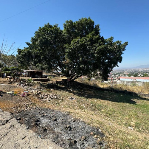 Terreno En Venta Morelos