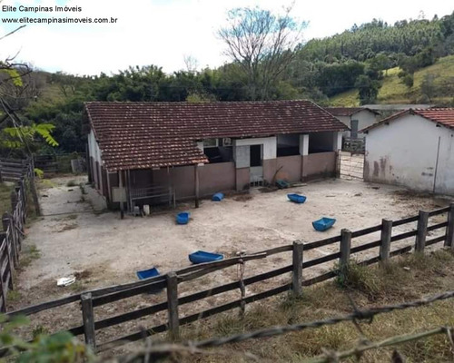Imagem 12 de 30 de Fazenda - Fa00043 - 70710454