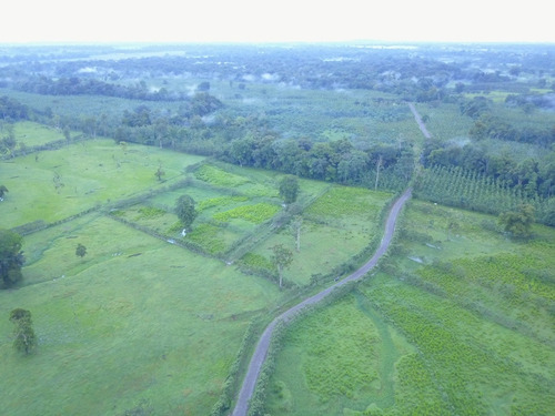 Imagen 3 de 10 de Excelente Finca, Lo Que Busca , Agrícola, Ganadera, Bosque