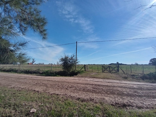 Campo 4 Hectareas El Candil San Andres De Giles Financia