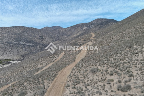 22 Parcelas De 5,000 M2 En Venta El Hinojal,valle De Elqui.