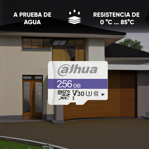 Dahua Kit De 20 Memorias Microsd Tf-c100/256gb Lectura De Hasta 90 Mb/s Escritura De Hasta 95 Mb/s Resistente A Altas Y Bajas Temperaturas Impermeable Antimagnética Y Anti Rayos X