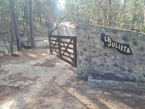 Lotes En Venta San Clemente Desde 1 Ha
