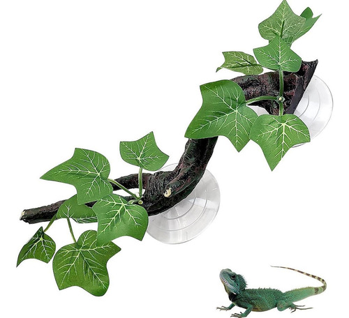 Répteis Plantas Escalar Árvore Galho Decoração