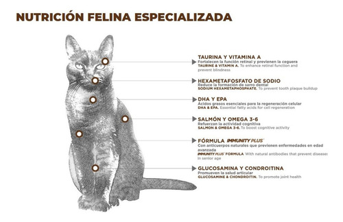 Croquetas Gato Nupec Felino Senior 3 Kg + Regalo