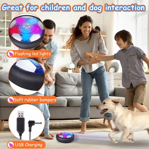 PetDroid Juguetes interactivos de pelota para perro, juguetes de bola  rodante automático duraderos activados por movimiento para cachorros/perros