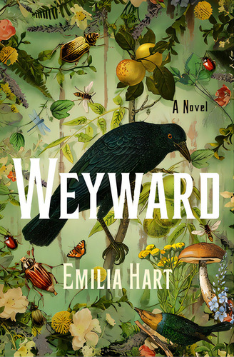 Weyward, De Hart, Emilia. Editorial St Martins Pr, Tapa Dura En Inglés