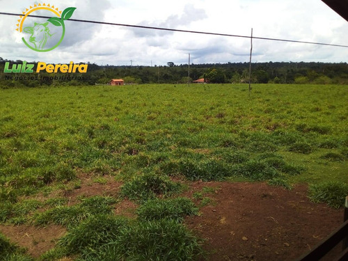 Imagem 6 de 15 de Fazenda Á Venda Em Baião - Pa - 484 Hectares (dupla Aptidão) - 2096