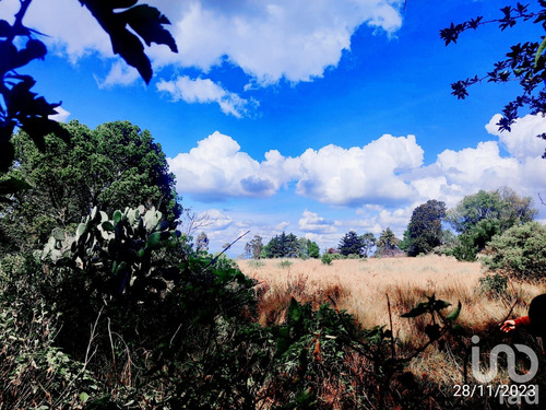 Venta Terreno 0 Ambiente La Mora