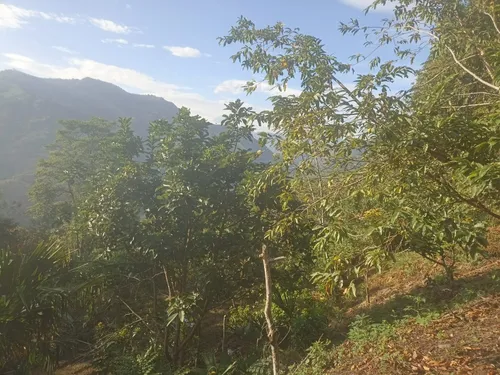 Lote Villeta