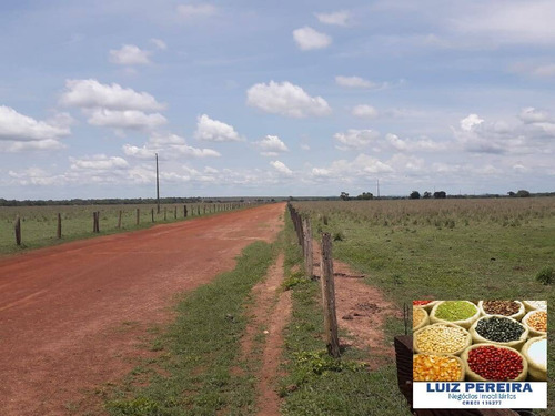 Imagem 5 de 15 de Fazenda À Venda Em Peixe - To - De 200 Alqueirões (dupla Aptidão) - 1721