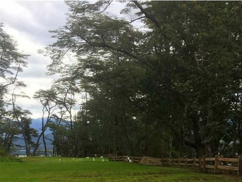Imagen 9 de 17 de Agrícola En Venta En Puerto Varas