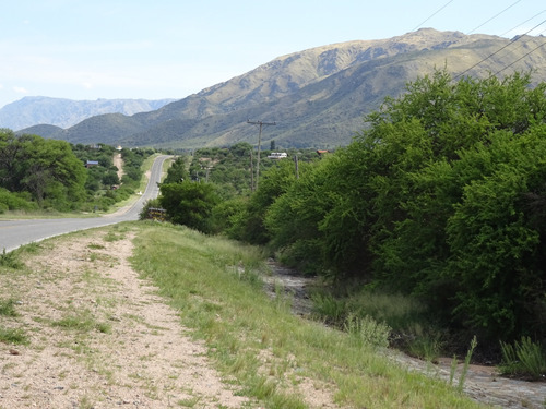 Único Campo Sobre Ruta En Cortaderas. Con Loteo Aprobado !!