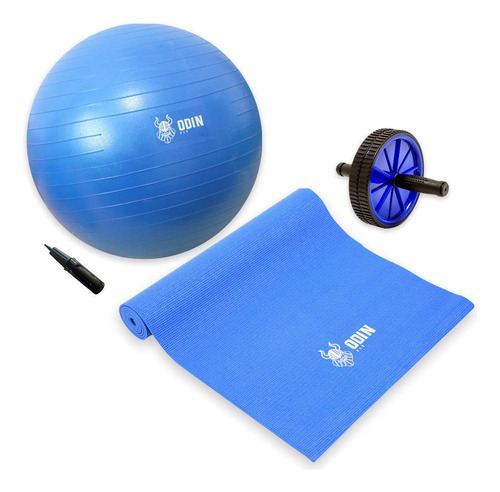 Kit Bola Suiça 65cm Gym Ball Roda Abdominal Tapete Yoga Odin