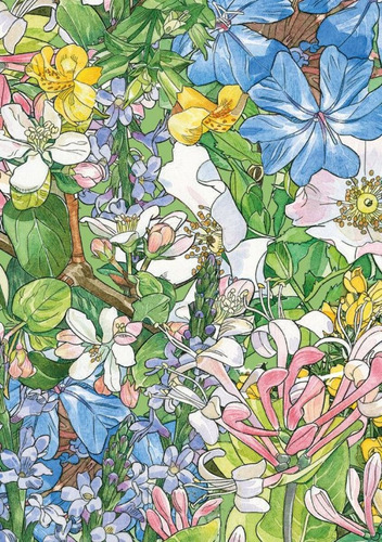 Oraculo Flower Oracle Lo Scarabeo (cartas + Libro)