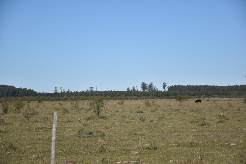 Imagen 19 de 22 de Campo Mixto En Venta Estación Yeruá