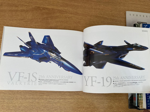 Tenjin Hidetaka Obras De Arte De Macross Valkyries(segundo)