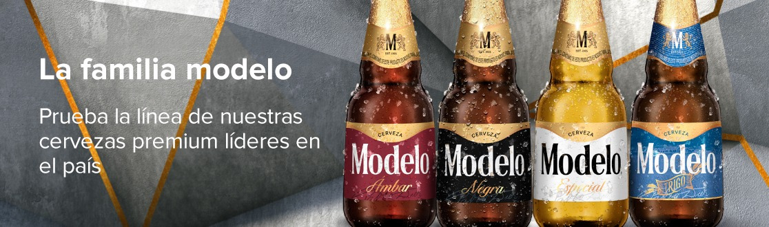 Grupo modelo en Mercado Libre Mexico