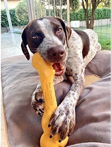 Osso Mordedor Para Cachorro Pet Qwerks Zombie Sabor Cheddar