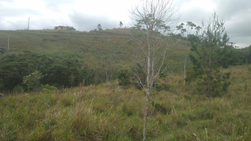 Imagem 15 de 30 de 03o-terreno A Venda Em Igarata