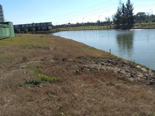 Imagen 4 de 5 de Lote En Venta Al Lago En Virazòn Nordelta
