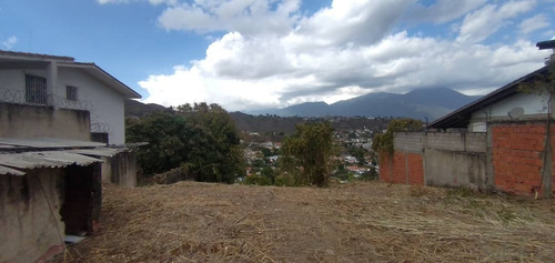 Imagen 5 de 7 de Terreno En Prados Del Este