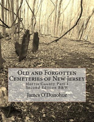 Libro Old And Forgotten Cemeteries Of New Jersey: Morris ...