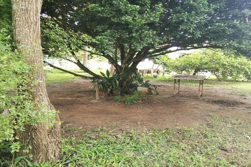 Imagen 10 de 10 de Fp Asein1608 Vende Excelente Finca De 12 Hectáreas En Montalbán Estado Carabobo