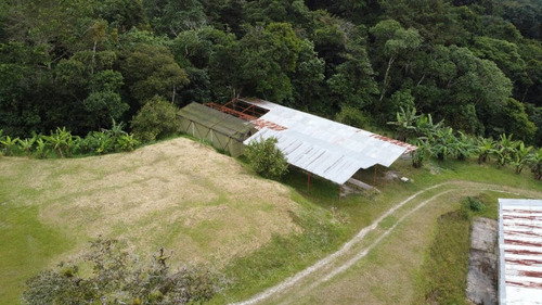 N.m. Finca En Venta En Capacho