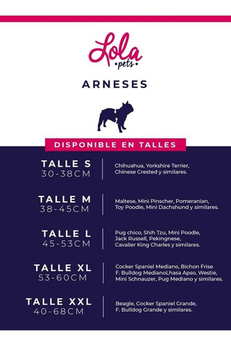 Arnés Pretal Perro Talle S Acolchado Con Correa Lola Pets