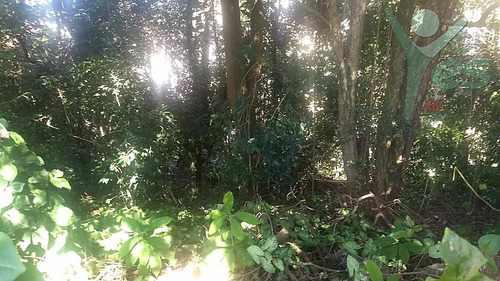 Imagem 2 de 6 de Ref.: 9055 - Terreno À Venda Na Vila Eldízia, Santo André - Sp - 9055