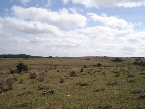 Campo En Venta En Las Cañas