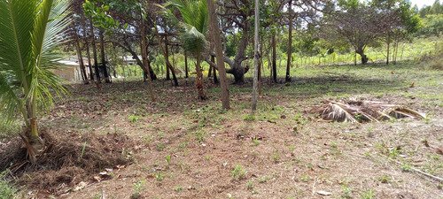 Vendo Ou Troco Citio Com Casa 2/4 Sala Conzinha E Banheiro