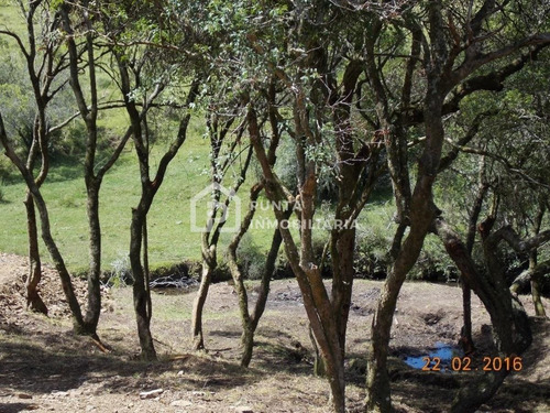 Imagen 11 de 30 de Venta Chacra 96has En Minas, Lavalleja