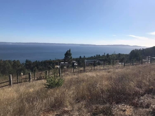 Imagen 2 de 6 de Sitio En Venta En Concepción