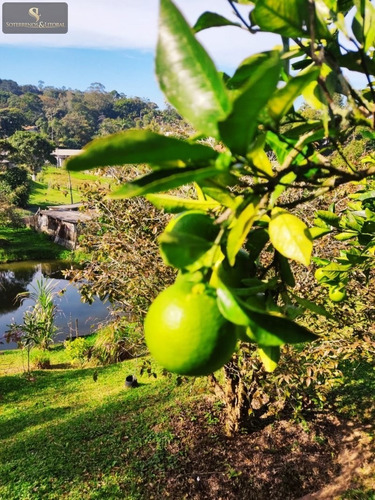 Imagem 15 de 30 de Chácara No Cocuera- Mogi Bertioga - Sp