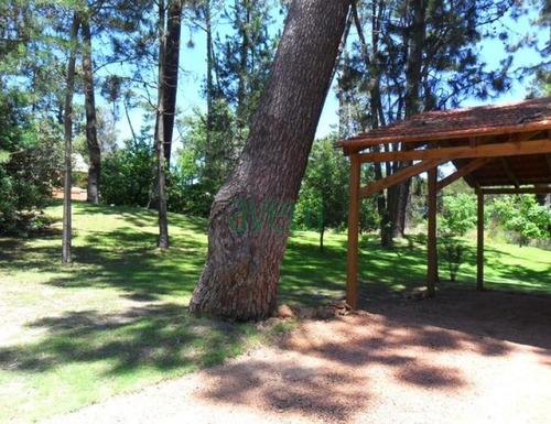 Imagen 3 de 14 de Casa En Burnett, 4 Dormitorios *- Ref: 901