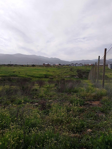 Ofertaterrenos En Guanaqueros ,los Trigales