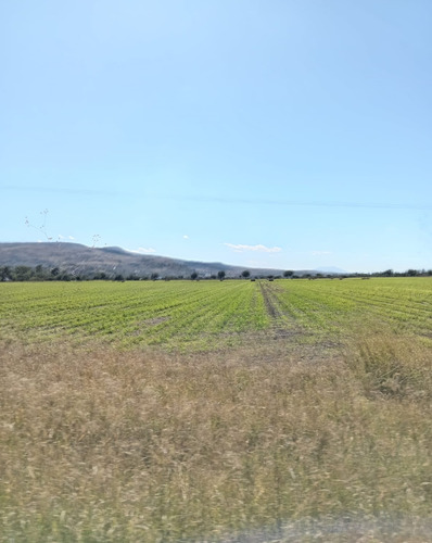 Se Vende Una 1 Hectárea En Silao Gto