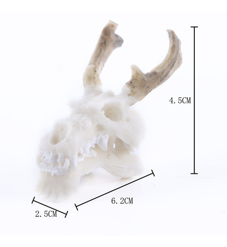 Set Of 2, Aquarium Ornament Animal S Skull Head Tunnel Cave
