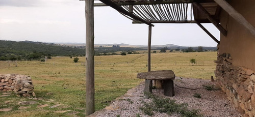 Campo En Ruta 60, Calera Del Rey