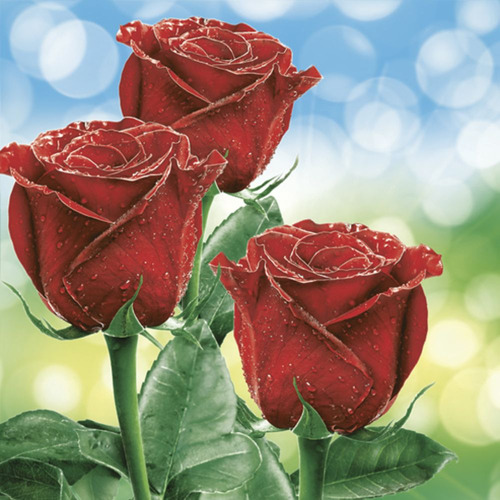 Guardanapo Decorado Três Rosas Vermelhas Clássicas Keramik