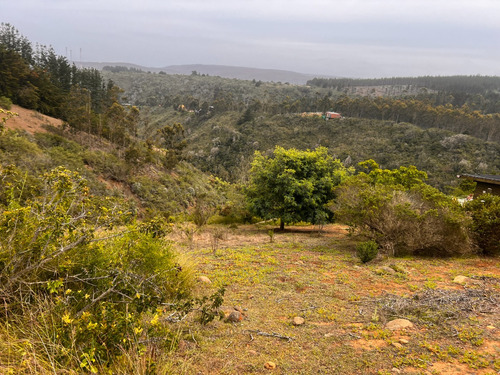 Campomar Acceso A Playa Virgen Tunquen, Refugio Forestal