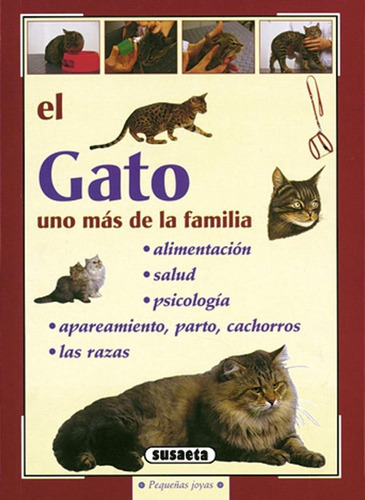 El gato, de Susaeta, Equipo. Editorial Susaeta, tapa blanda en español