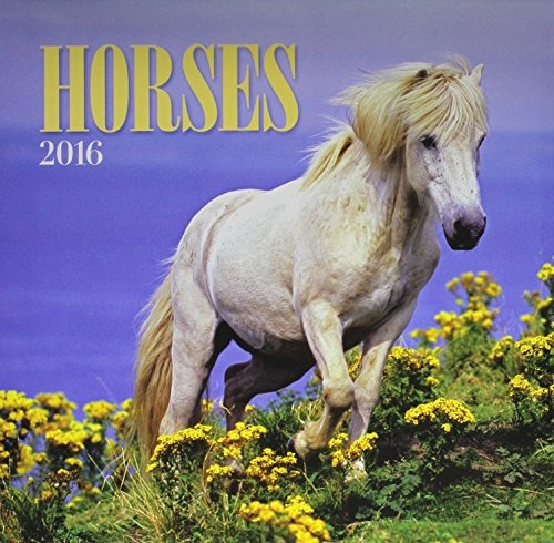 Horses 2016 Calendar