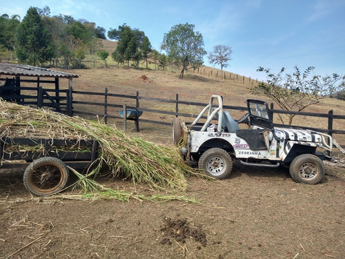 Willys 51
